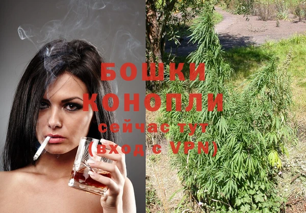 ПСИЛОЦИБИНОВЫЕ ГРИБЫ Нягань